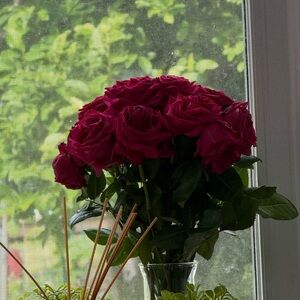 Meet your Posher, Abby